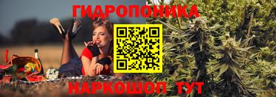 эйфоретик Обнинск