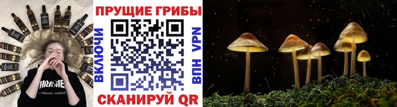 Галлюциногенные грибы ЛСД цены Радужный