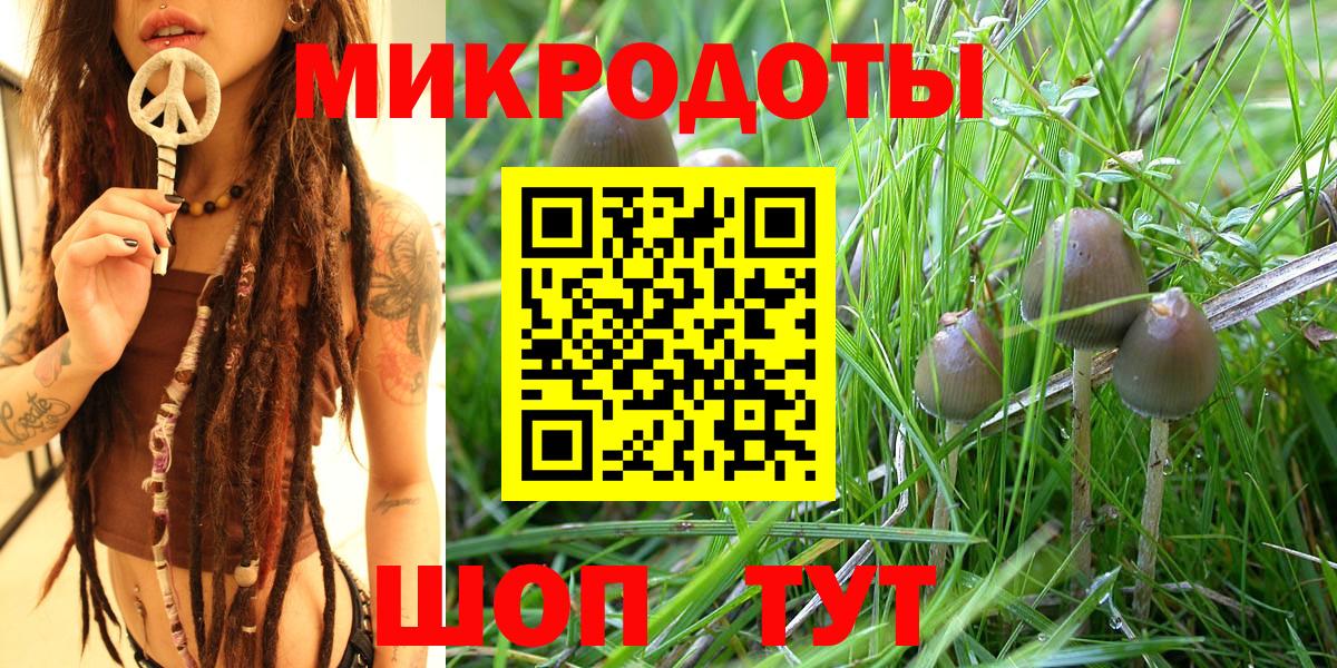 Радужный  Галлюциногенные грибы Psilocybe  Вход с VPN 